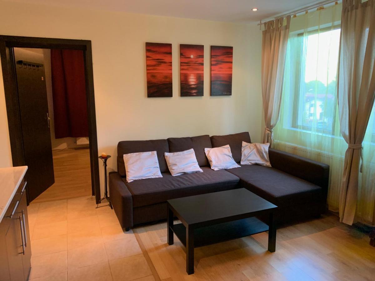 Lovely & Cozy Apartment Sinaia Extérieur photo